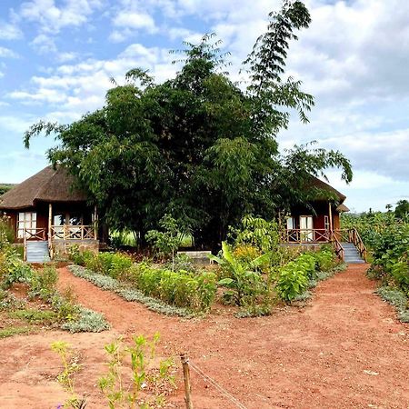 Rutete Eco Lodge Rwinkwavu المظهر الخارجي الصورة