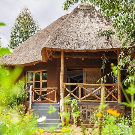 Rutete Eco Lodge Rwinkwavu المظهر الخارجي الصورة