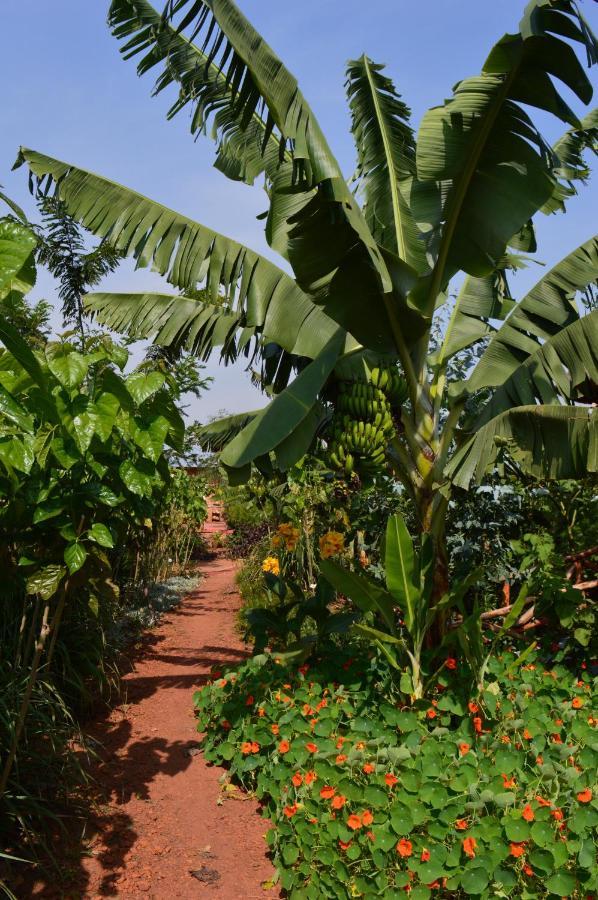 Rutete Eco Lodge Rwinkwavu المظهر الخارجي الصورة