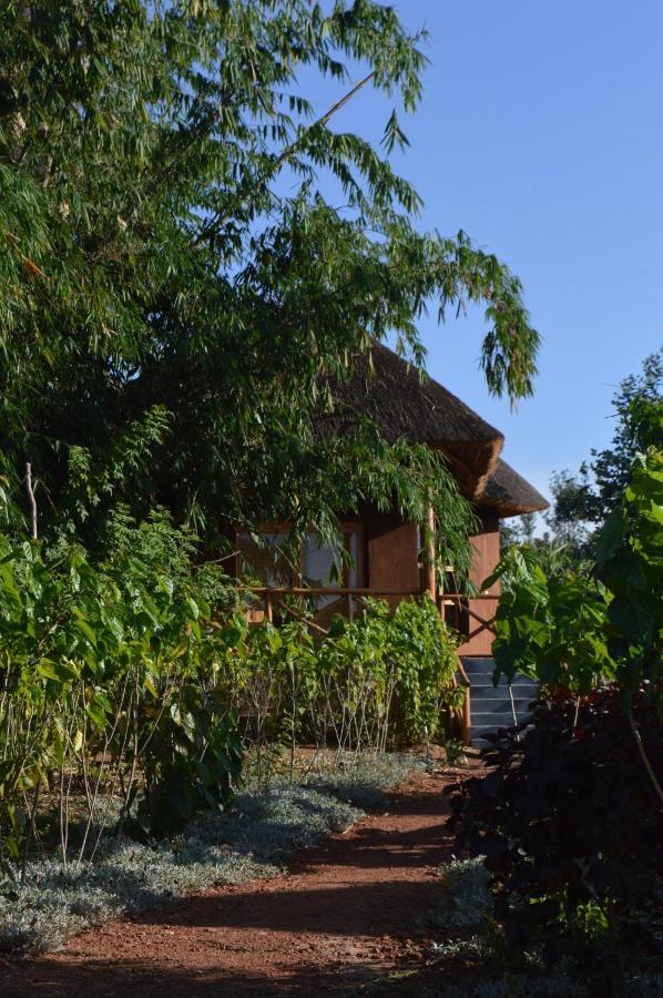 Rutete Eco Lodge Rwinkwavu المظهر الخارجي الصورة