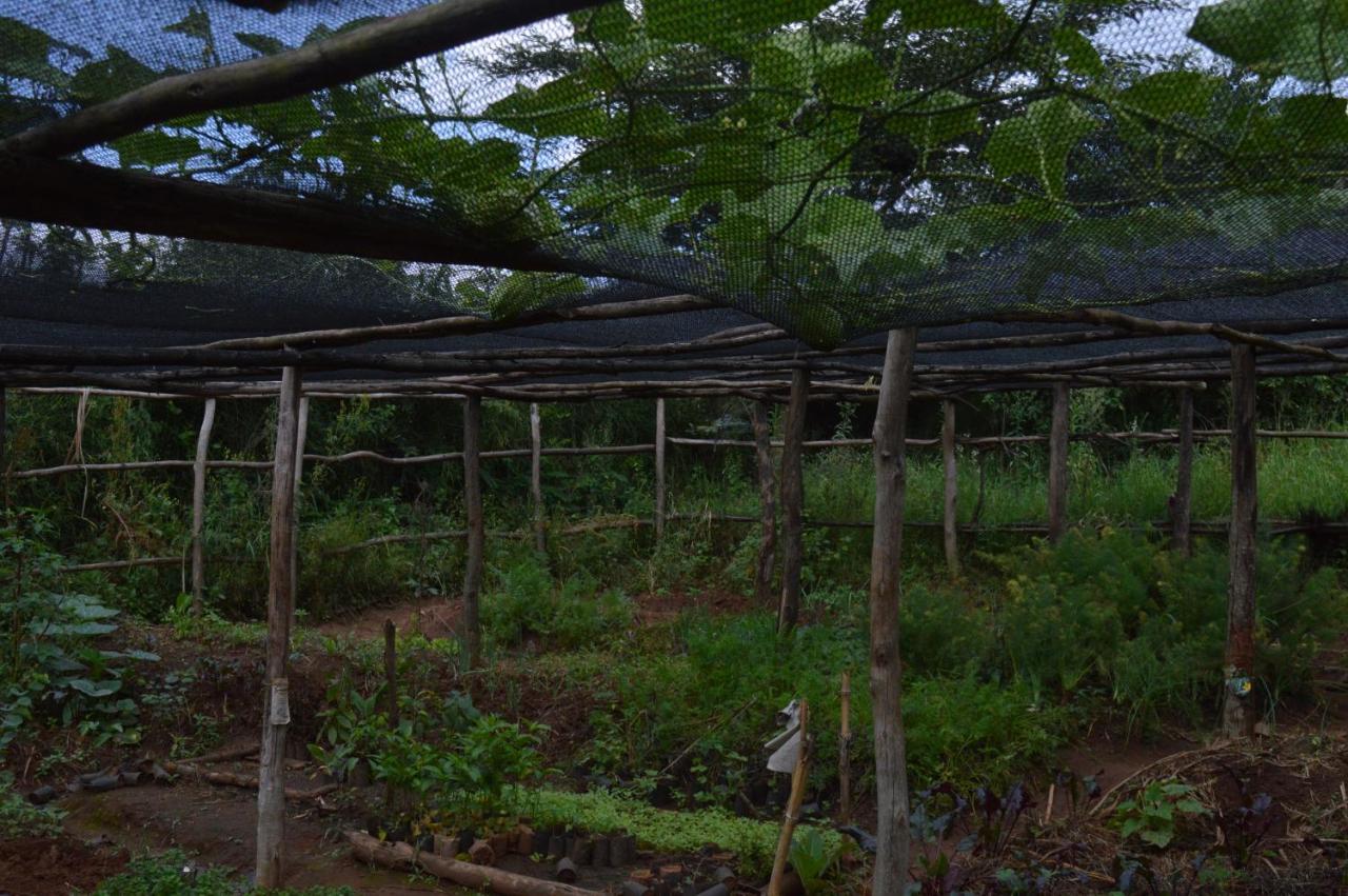 Rutete Eco Lodge Rwinkwavu المظهر الخارجي الصورة
