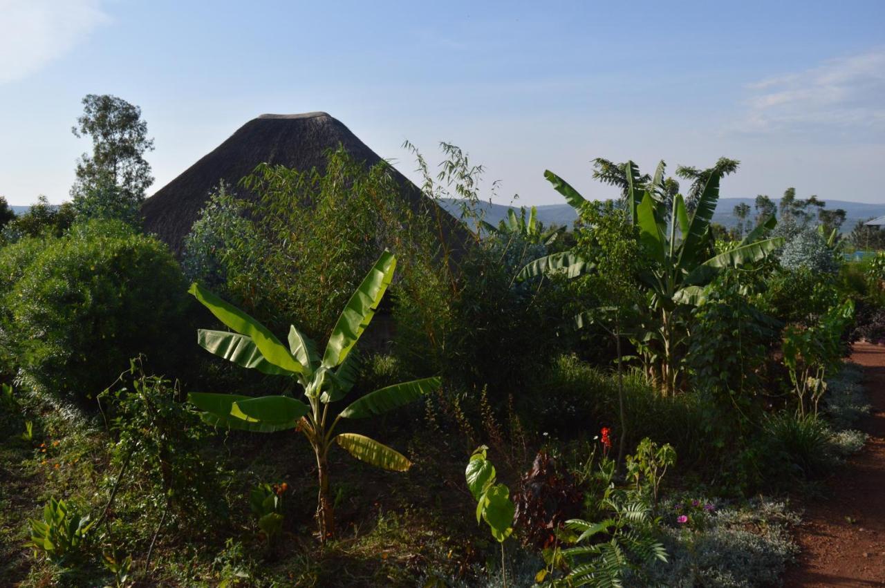 Rutete Eco Lodge Rwinkwavu المظهر الخارجي الصورة