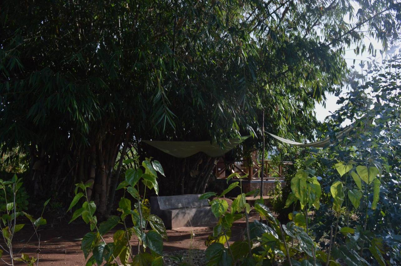 Rutete Eco Lodge Rwinkwavu المظهر الخارجي الصورة