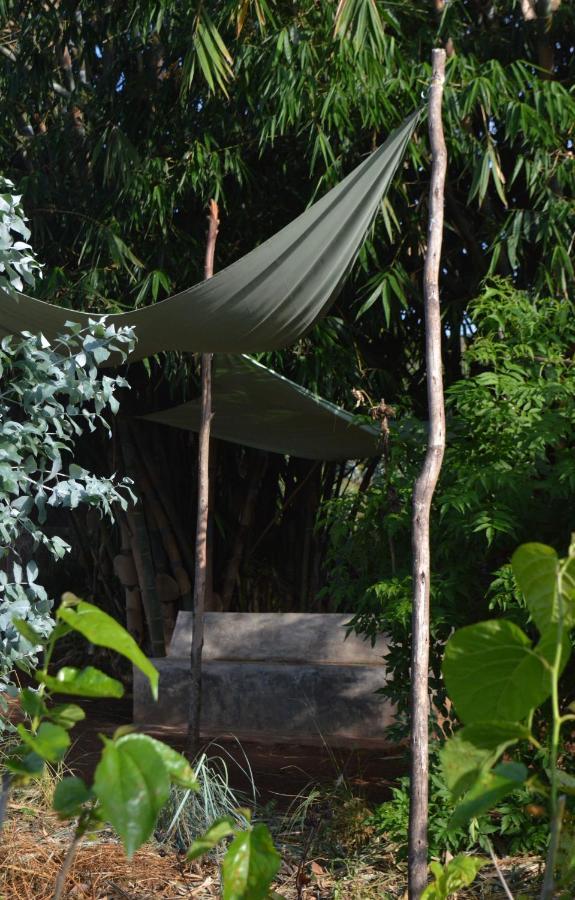 Rutete Eco Lodge Rwinkwavu المظهر الخارجي الصورة