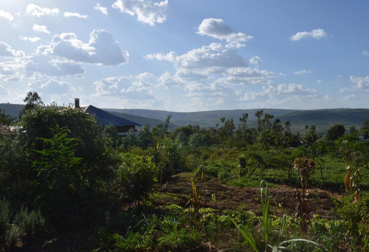 Rutete Eco Lodge Rwinkwavu المظهر الخارجي الصورة