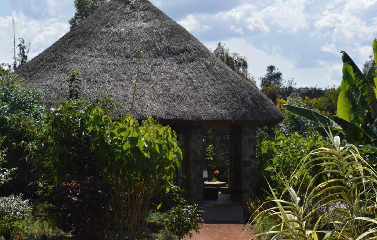 Rutete Eco Lodge Rwinkwavu المظهر الخارجي الصورة