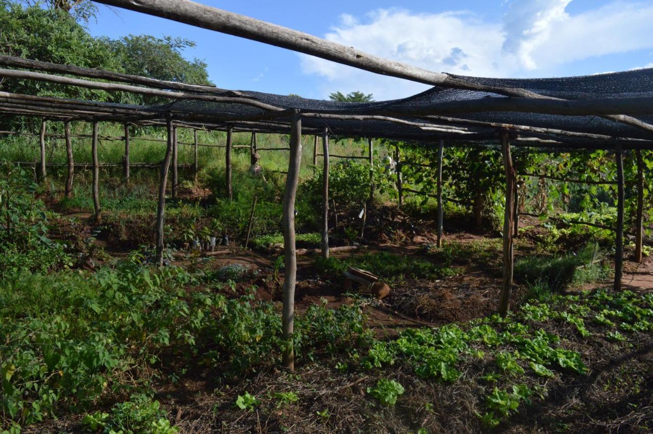Rutete Eco Lodge Rwinkwavu المظهر الخارجي الصورة