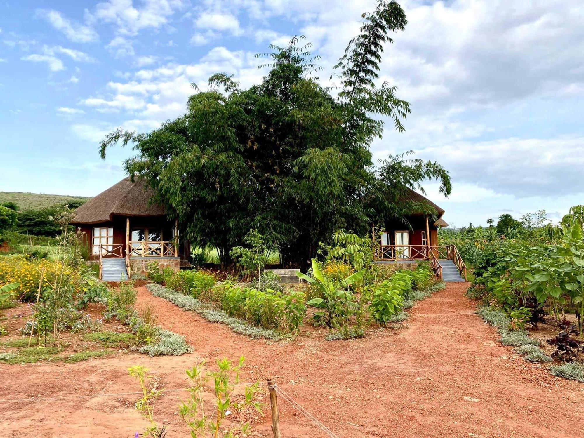 Rutete Eco Lodge Rwinkwavu المظهر الخارجي الصورة